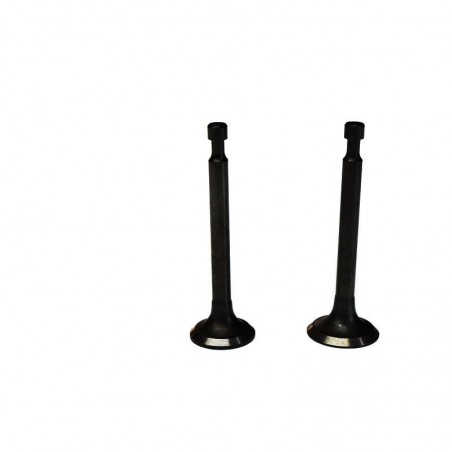 Valve kit Mtd 951-10313 951-10313 Pièces moteur interne Valve kit Mtd 951-10313 951-10313 Pièces moteur interne