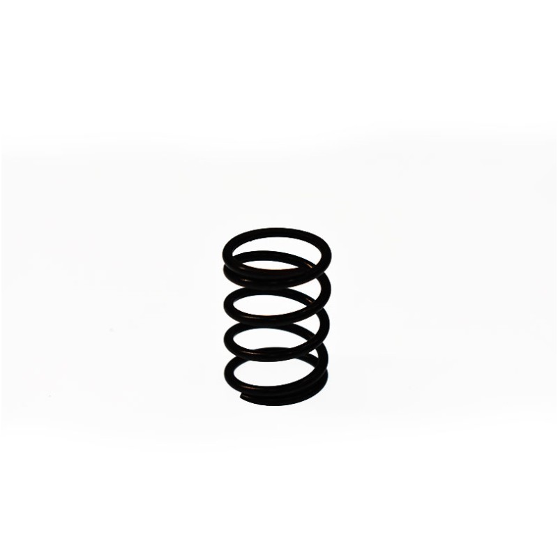 Ressort de soupapes Briggs & Stratton 691304 Briggs & Stratton - 1