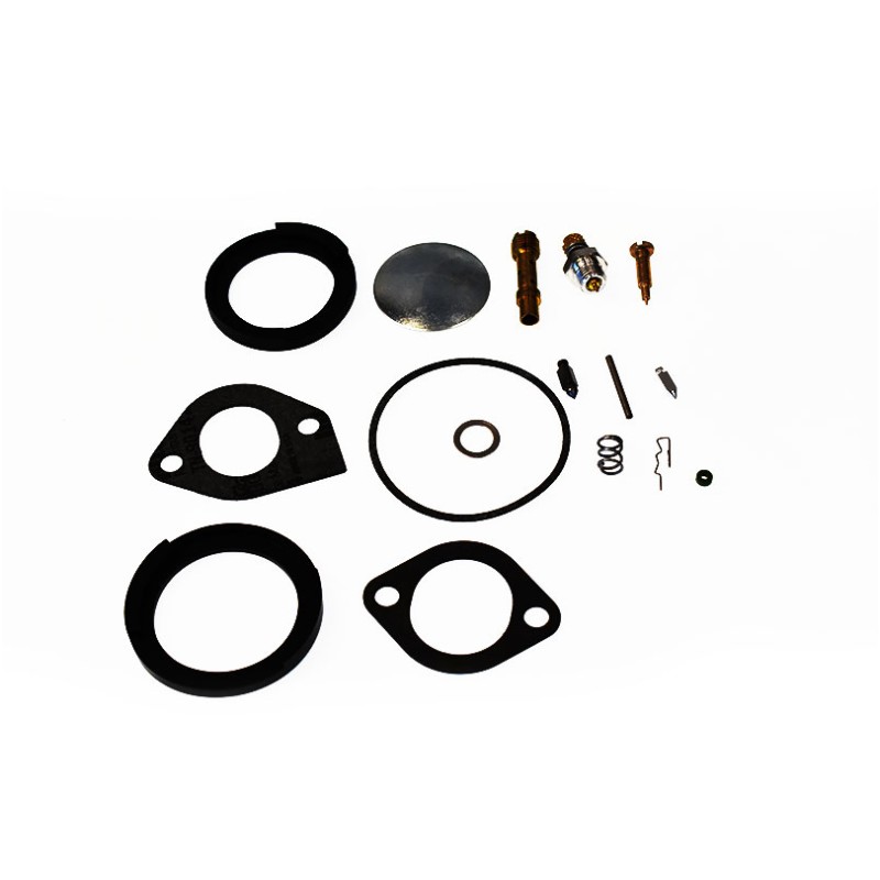 Briggs & Stratton carburetor overhaul kit 394698 Briggs & Stratton - 1