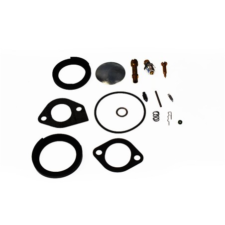 Briggs & Stratton carburetor overhaul kit 394698 Briggs & Stratton - 1
