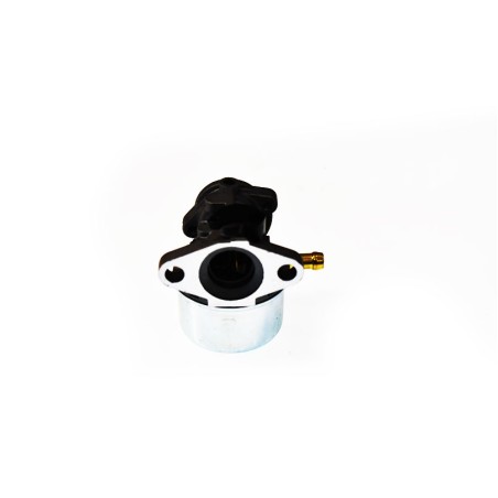 Carburateur Briggs & Stratton 799868 Briggs & Stratton - 1 Carburateur Briggs & Stratton 799868 Briggs & Stratton - 1