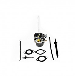 Carburetor Briggs Stratton 796122