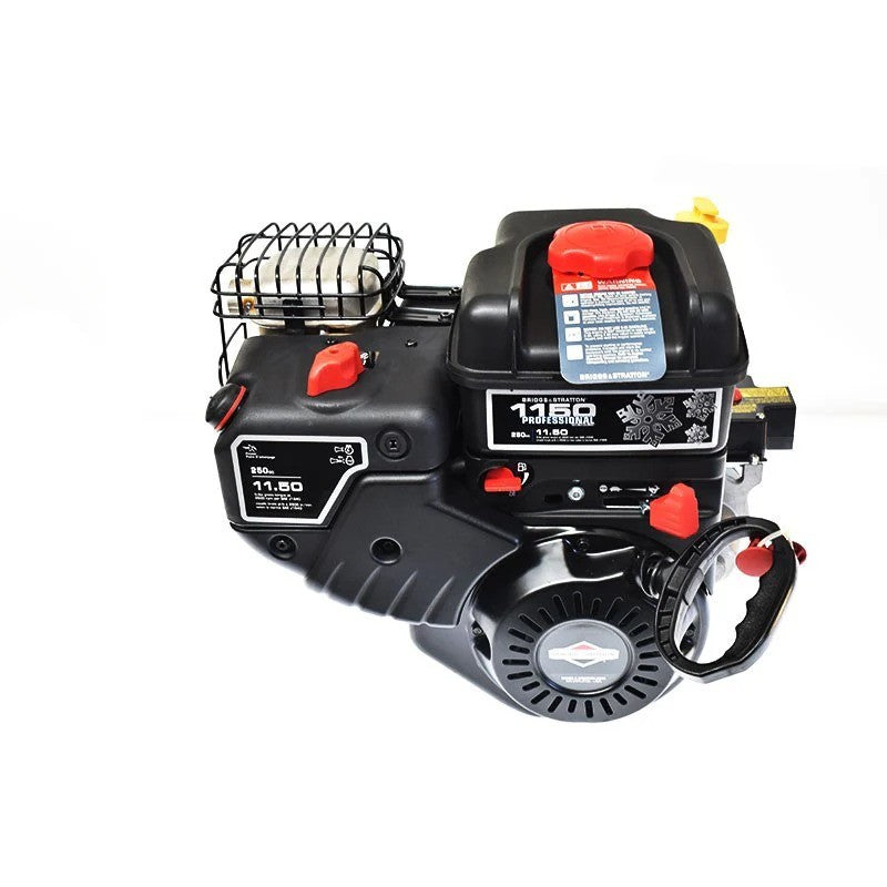 Moteur Briggs & Stratton