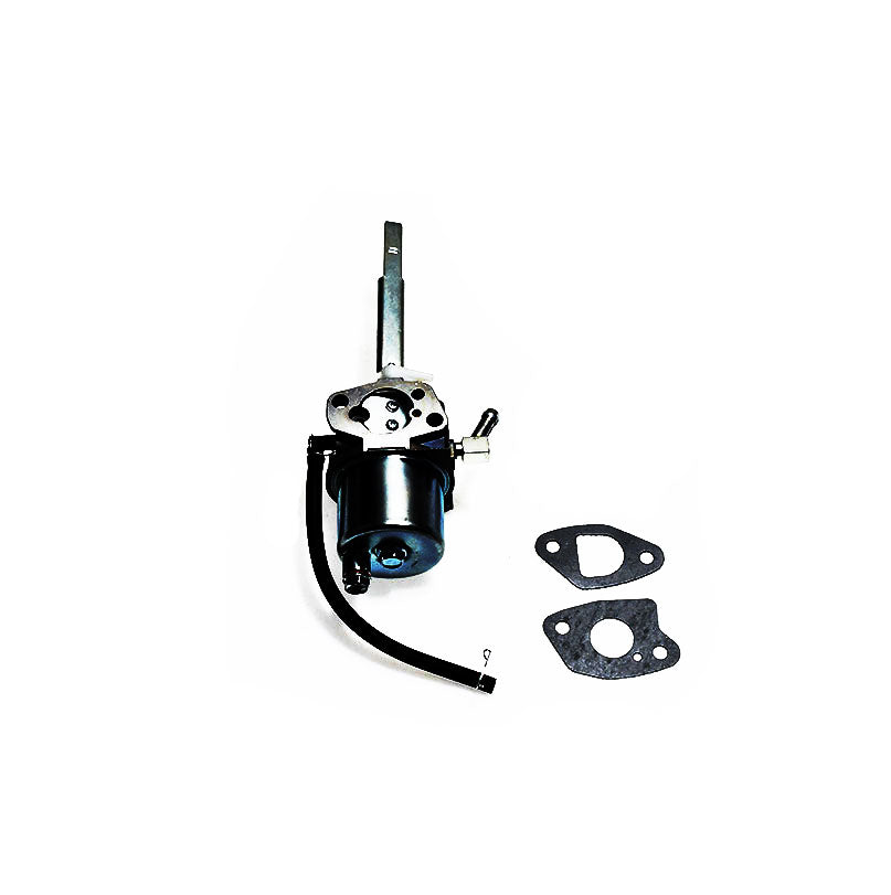 Carburateur Ariens 20001368