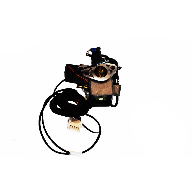 Carburateur ( EFI ) Husqvarna 597505001