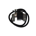 Module électronique Briggs Stratton 398811 398811 Home