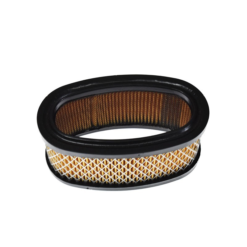 Filtre a air Briggs Stratton 393725 393725 Air filter