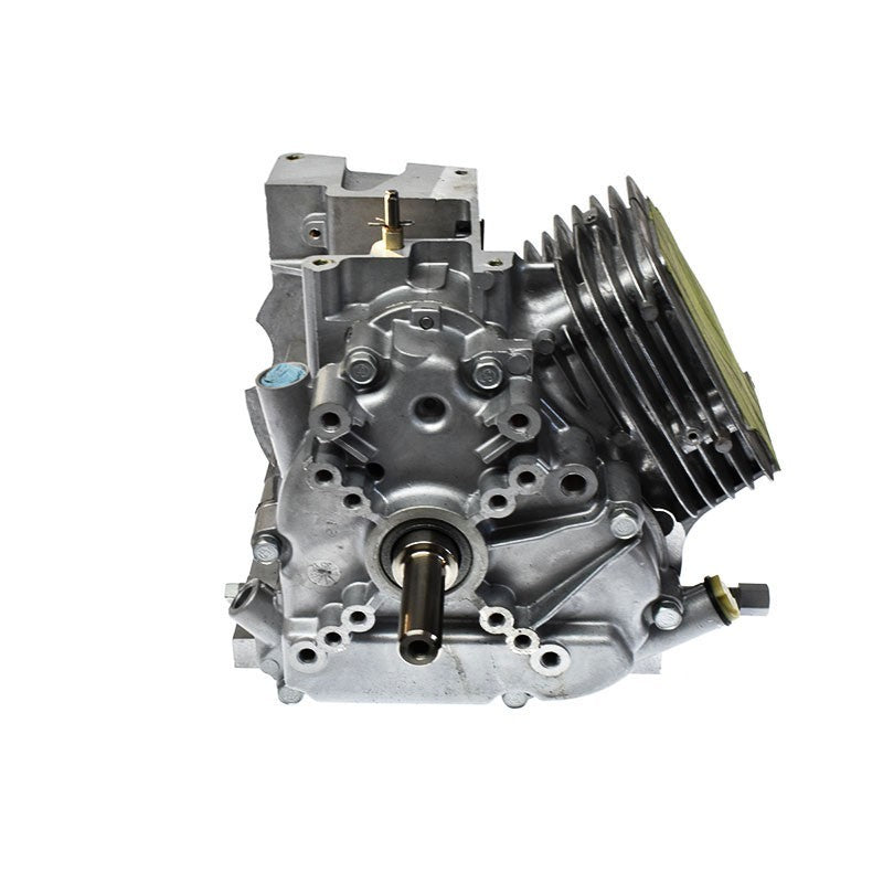 Bloc moteur de remplacement Briggs Stratton 794910 794910 Home