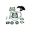 Jeu de joints complet MTD 951-11059A 951-11059A Joints et joints d'huile