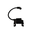 Module d'allumage Briggs Stratton 593872 593872 Home