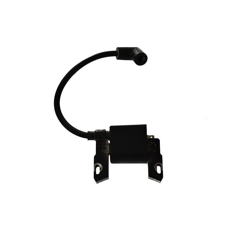 Module d'allumage Briggs Stratton 593872 593872 Home