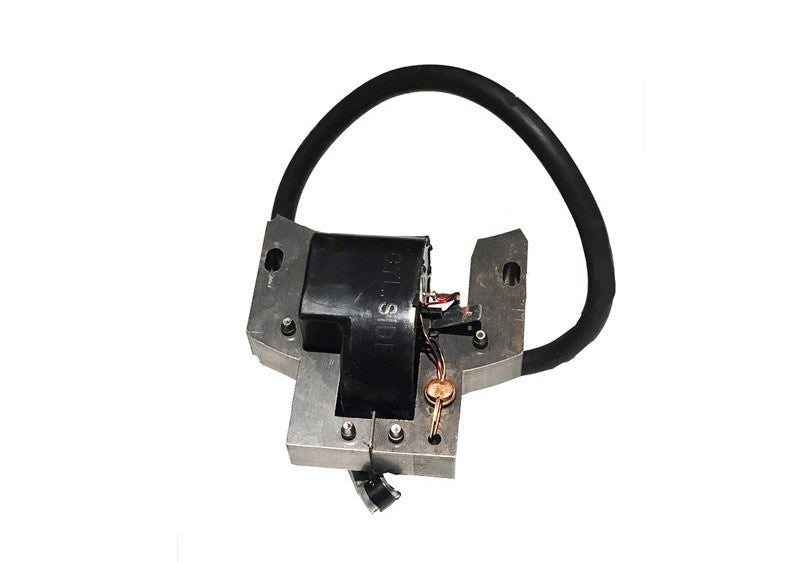 Module d'allumage Briggs Stratton 591420 591420 Home