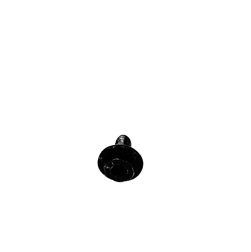 Vis Briggs Stratton 699854