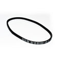 Drive belt Mtd 754-0256 754-0256 Belts