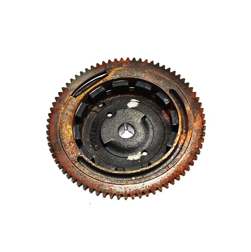 Flyweel Briggs Stratton 699516 699516 Electricity