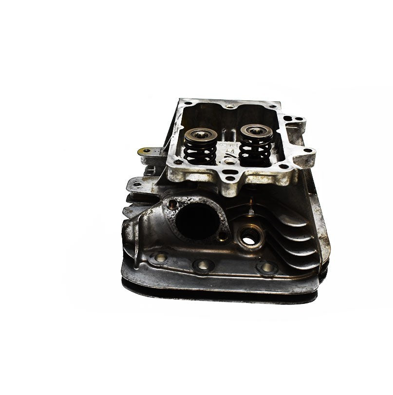 Briggs & Stratton cylinder head 591750 591750 Internal engine parts