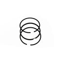 Segments Briggs & Stratton 493261 Briggs & Stratton - 1