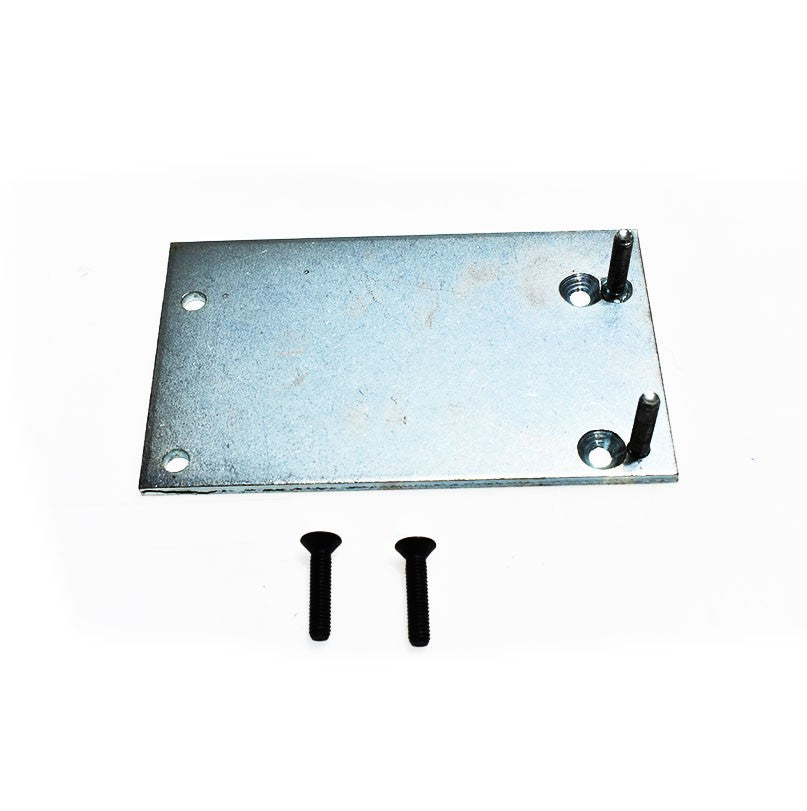 Plaque de maintien Briggs & Stratton 498861 Briggs & Stratton - 1