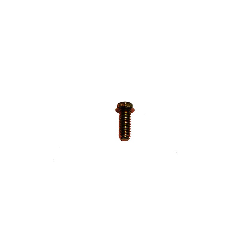 Vis Briggs & Stratton 691108 Briggs & Stratton - 1