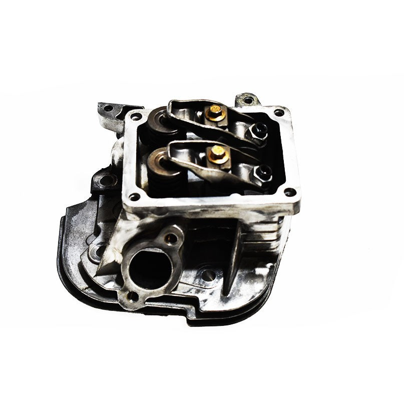Tête de moteur Briggs Stratton 799860 Briggs & Stratton - 2