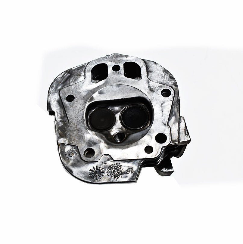 Tête de moteur Briggs Stratton 799860 Briggs & Stratton - 3