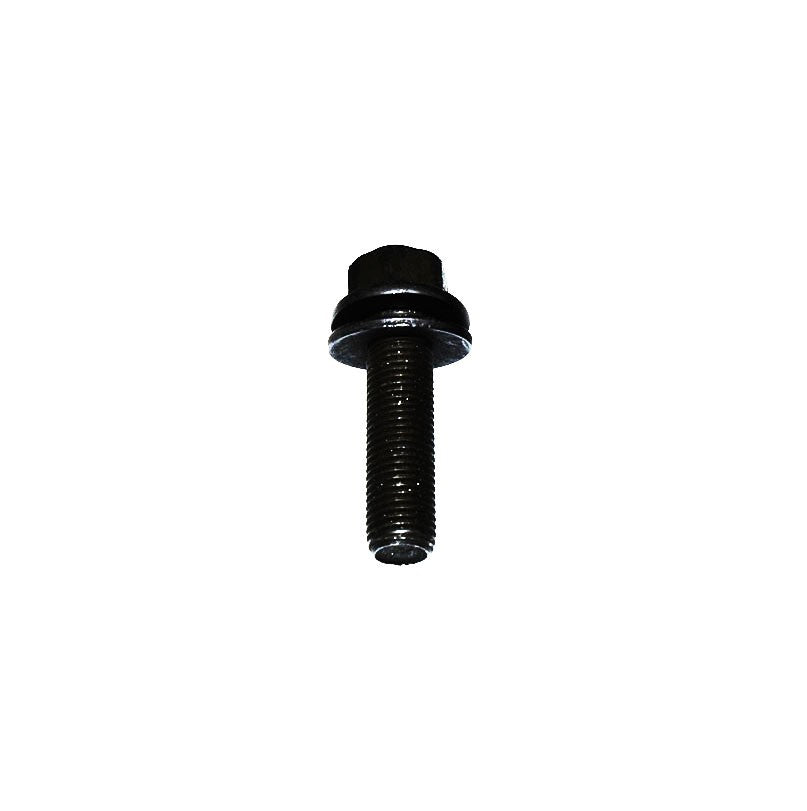Boulons de lames Toro 125-2466 Toro - 1