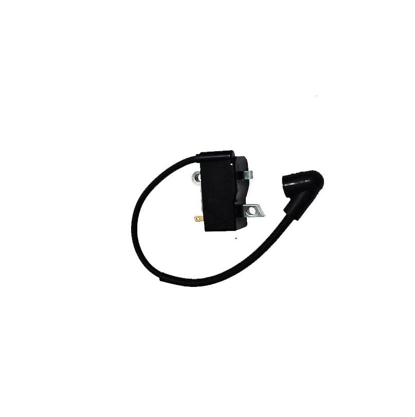 Module d'allumage Husqvarna 597383401 Husqvarna - 1