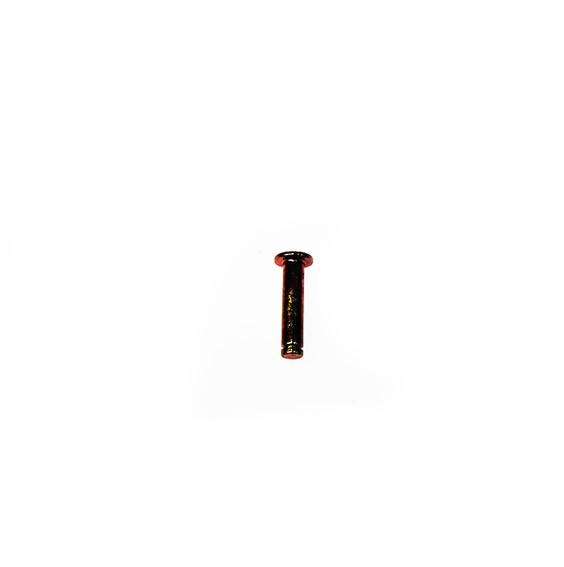 Goupille Shindaiwa V641000170 Shindaiwa - 1