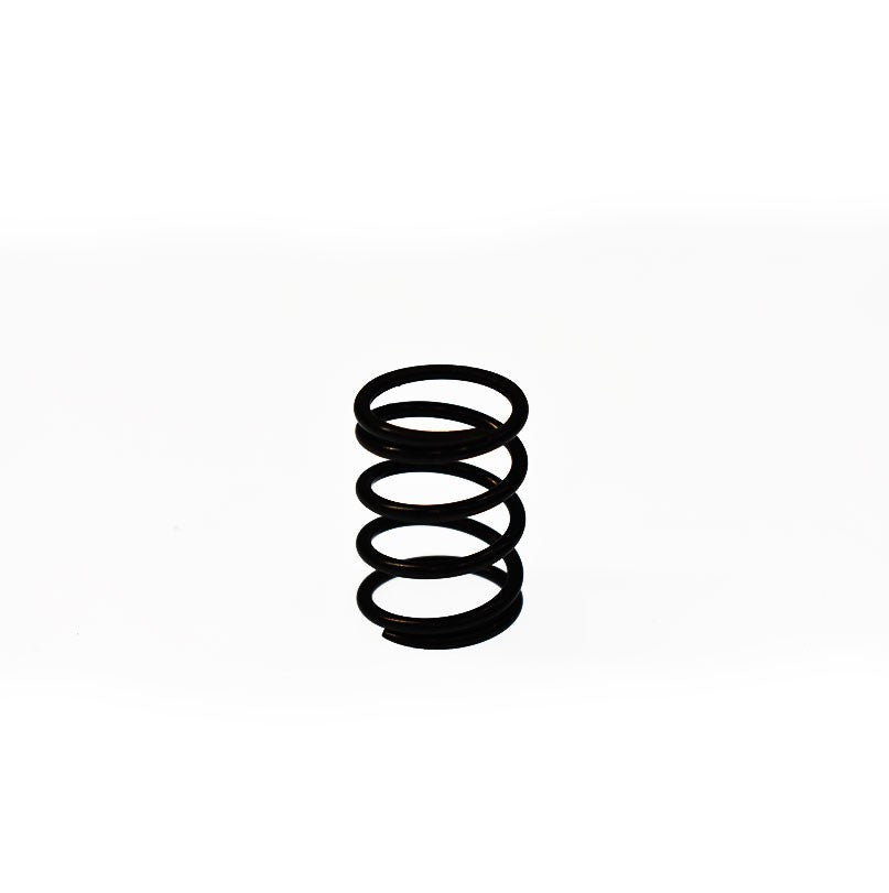 Ressort de soupapes Briggs & Stratton 691304 Briggs & Stratton - 1