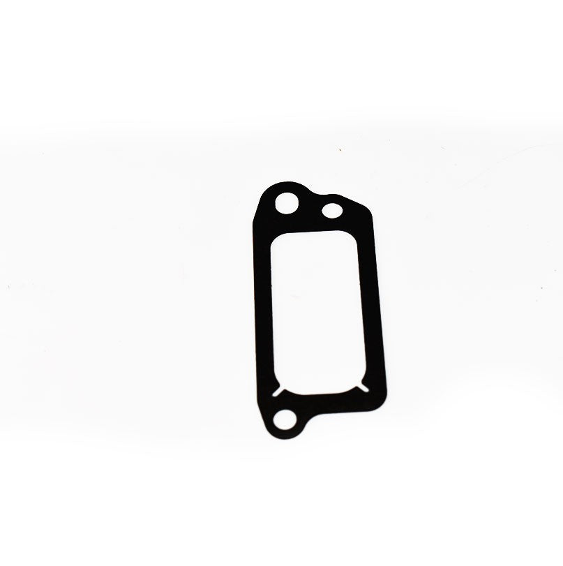 Joint de reniflard Briggs & Stratton 699833 Briggs & Stratton - 1