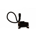 Module d'allumage Briggs & Stratton 595304