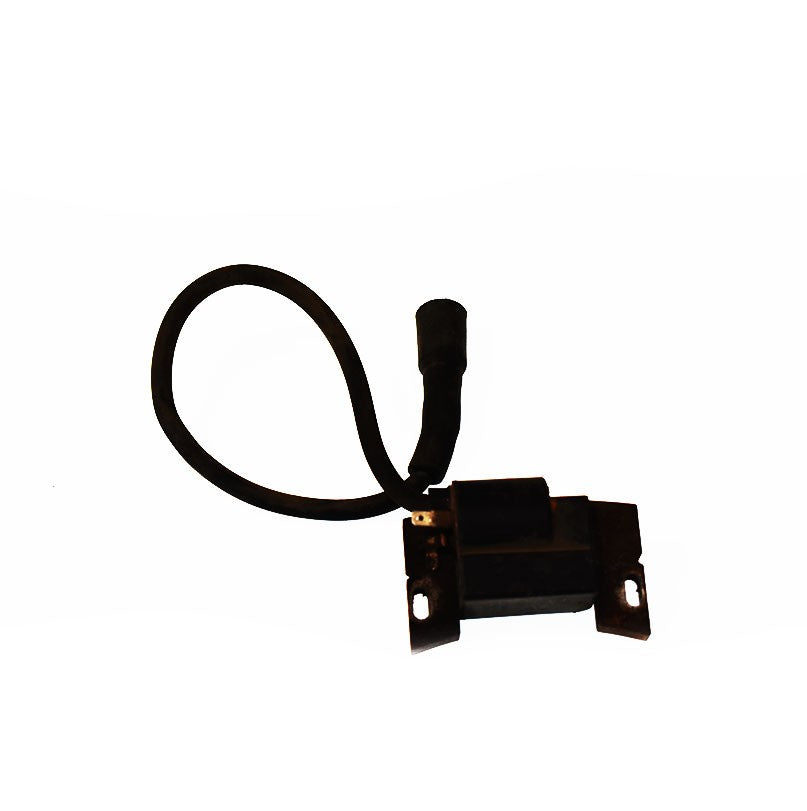 Module d'allumage Briggs & Stratton 595304