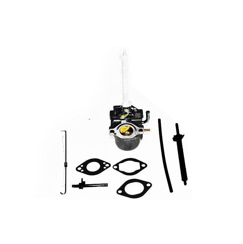 Carburetor Briggs Stratton 796122