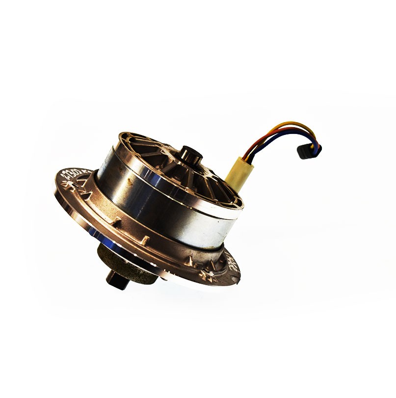 Moteur de tondeuse Ego 2730252001