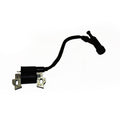 Module d'allumage Briggs & Stratton 590603