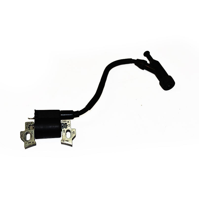 Module d'allumage Briggs & Stratton 590603