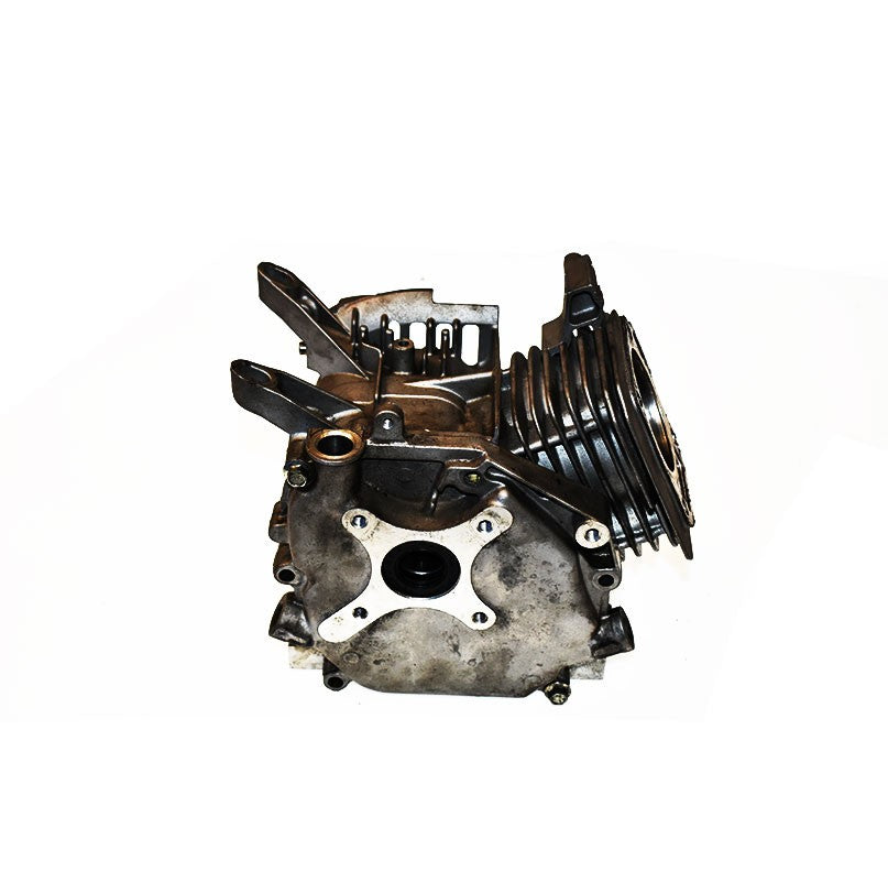 Cylindre Briggs & Stratton 591446