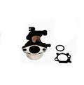 Briggs & Stratton carburetor 799866