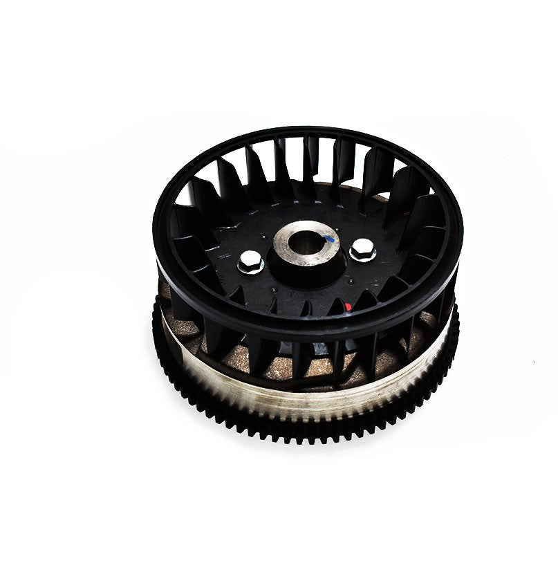 Flywheel Briggs Stratton 794812